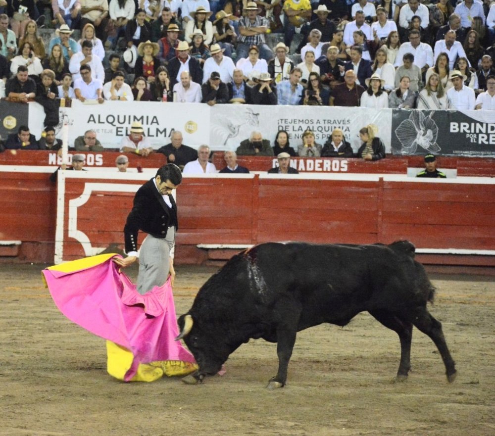 Chicuelina de Emilio de Justo al toro Clarinete de 376 kg. Chicuelina de Emilio de Justo al toro Clarinete de 376 kg.