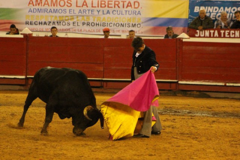 Luis Miguel Castrillón