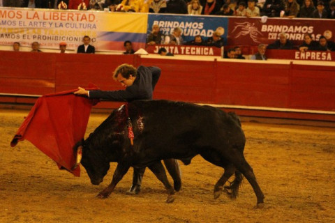 Román Collado