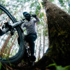 Down Hill de las Flores