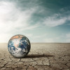 Los diez años con las temperaturas medias diarias más altas en el planeta son los últimos diez años, de 2015 a 2024.