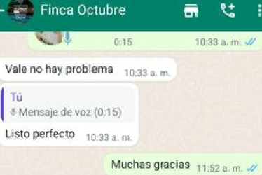 El chat.