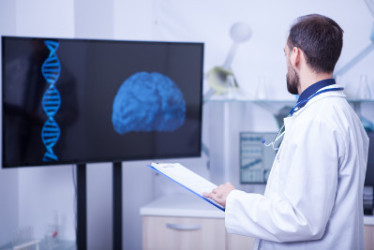 Cerebro