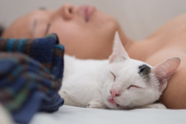 Un hombre y un gato durmiendo en la misma cama