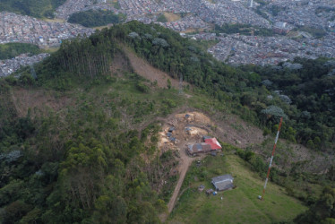 Finca de aserradero de Eucalipto en Monteleón