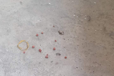 Lo hallado en el piso.