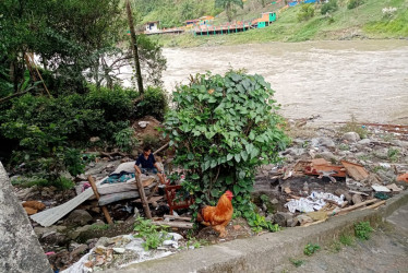 Fotos | Julián García | LA PATRIA Algunos se ubican a orillas del Cauca y abajo del puente.   