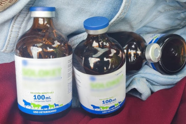 La ketamina es un medicamento de uso veterinario utilizado para fabricar drogas sintéticas que puede provocar graves daños al ser humano.