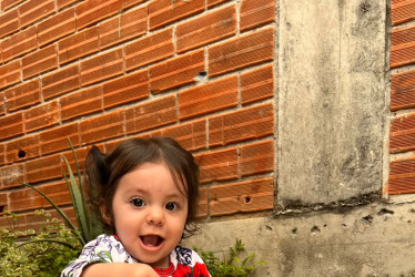 La Alcaldía y la familia de la menor trabajan con un solo fin, por ello instalaron 22 alcancías en establecimientos públicos y desarrollan una campaña en redes sociales.