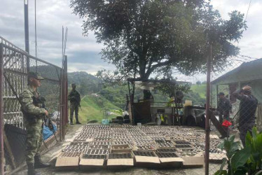 Incautación de licor adulterado y de contrabando en Manizales.