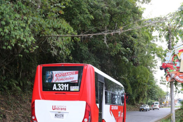 Foto| Luis Trejos | LA PATRIA Esta rama se encuentra sostenida por un cableado en la zona.