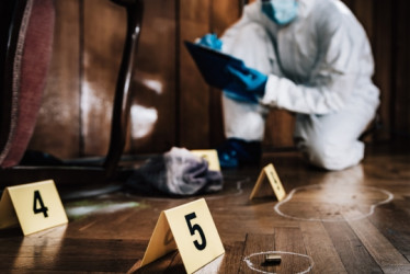 Escena del crimen