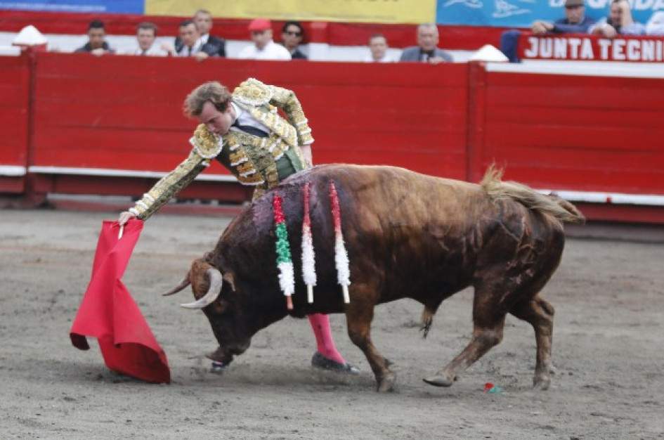 El triunfador de la tarde, Román Collado, torero español ejecuta un derechazo al toro Castellano de 470 kilogramos que tiene por insignias tres vistosas banderillas aplicadas en su lomo y que hace un bello contraste taurino.