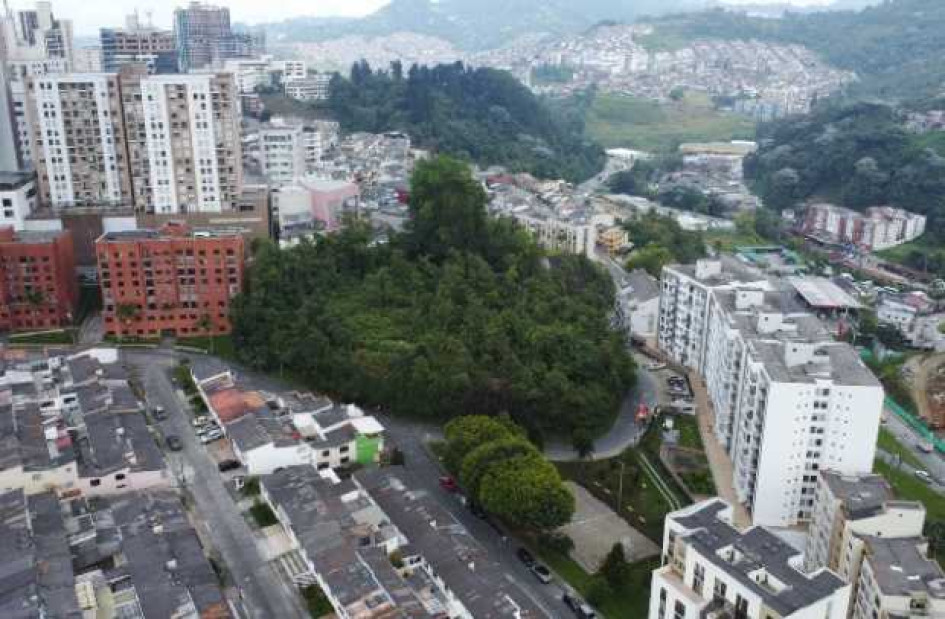 Concejo, a favor de que Camino de la Palma se vuelva reserva forestal Concejo, a favor de que Camino de la Palma se vuelva reserva forestal
