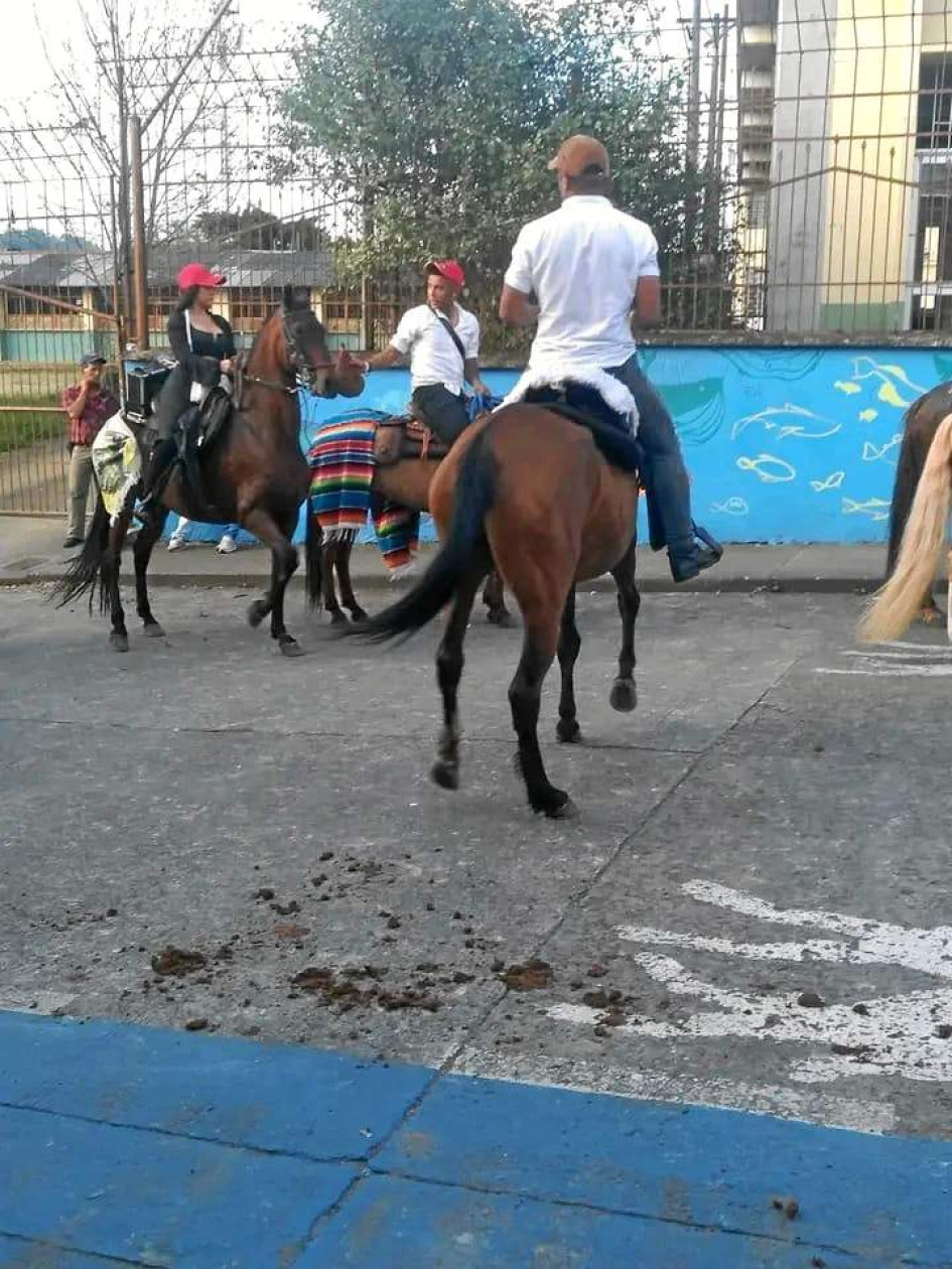 El alcalde de Santa Rosa de Cabal prohibió las cabalgatas en las fiestas de su municipio. En cambio, en Chinchiná las autoridades pasearon a caballo en el carnaval. El alcalde de Santa Rosa de Cabal prohibió las cabalgatas en las fiestas de su municipio. En cambio, en Chinchiná las autoridades pasearon a caballo en el carnaval.