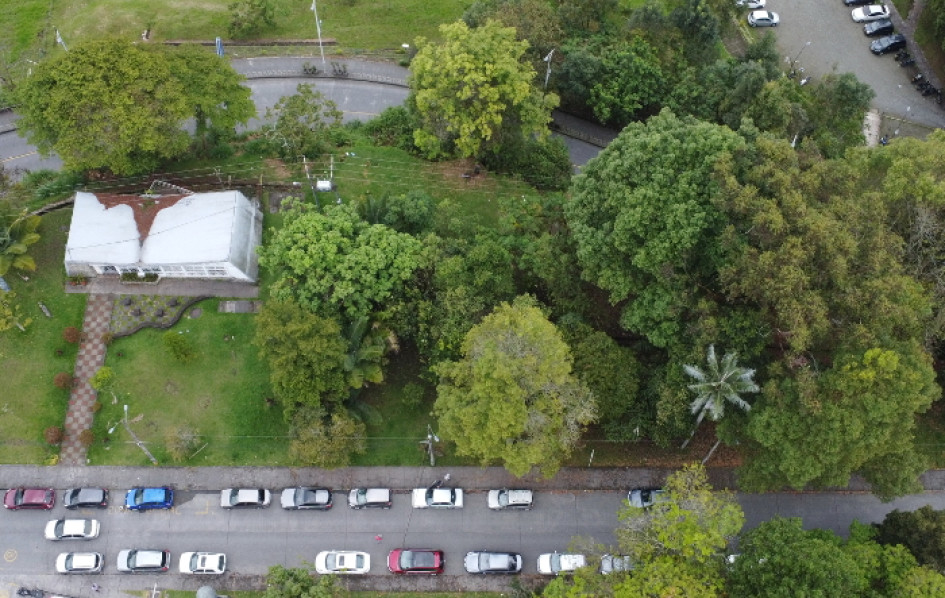 Negociación Universidad