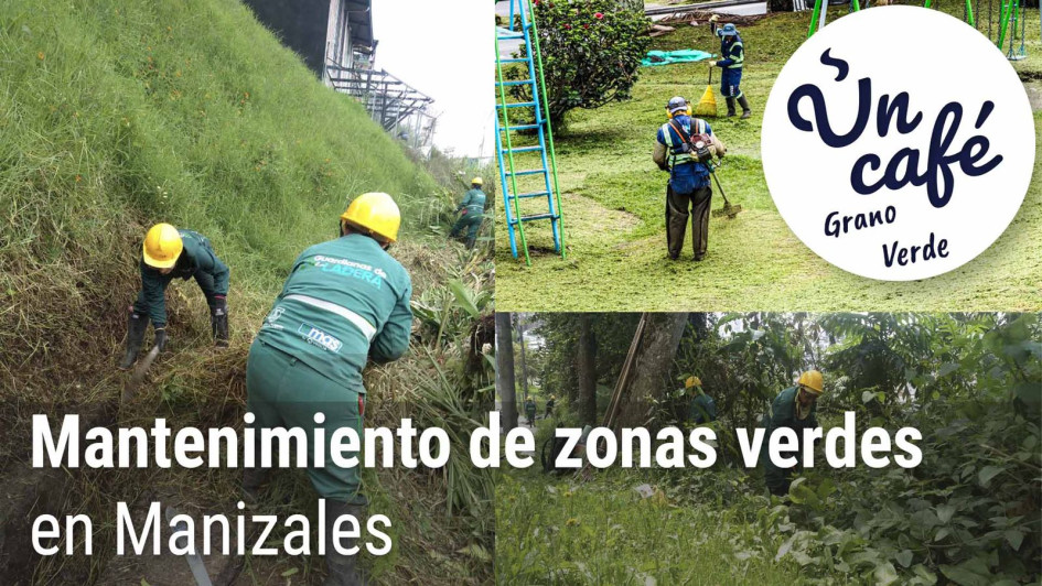 Un Café de grano verde, para hablar del mantenimiento de las zonas verdes en Manizales Un Café de grano verde, para hablar del mantenimiento de las zonas verdes en Manizales