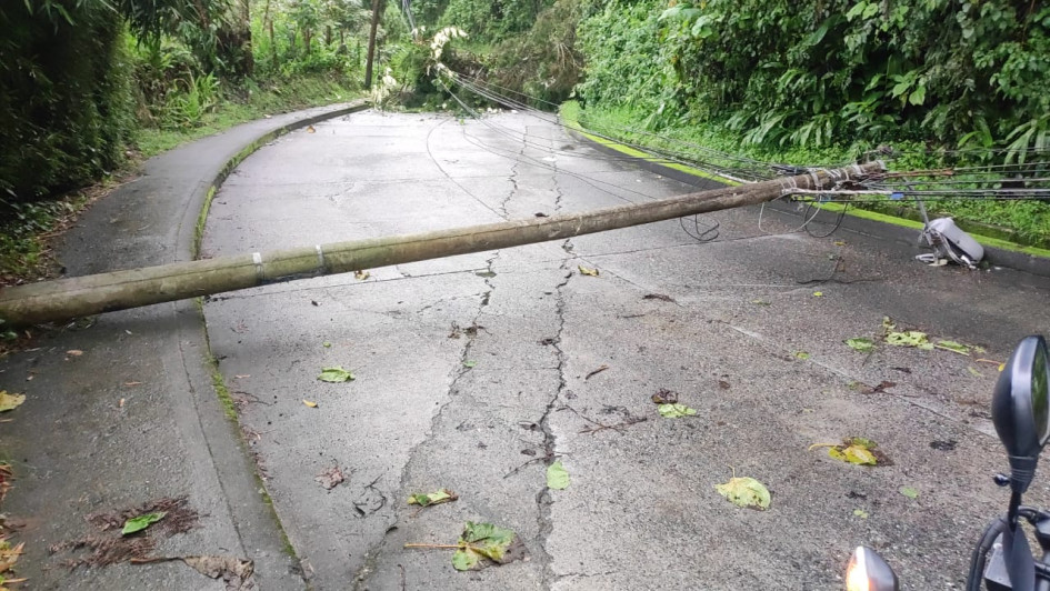 Caída de árboles y derrumbes por las lluvias en Manizales y Villamaría Caída de árboles y derrumbes por las lluvias en Manizales y Villamaría