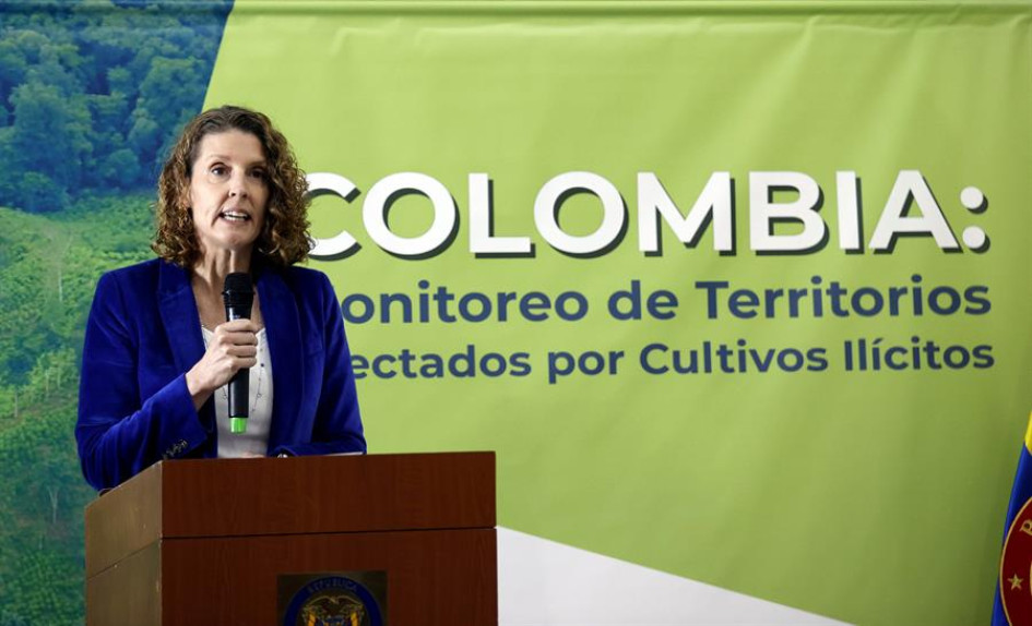La Directora Regional de UNODC para la región Andina y el Cono Sur, Candice Welsch. La Directora Regional de UNODC para la región Andina y el Cono Sur, Candice Welsch.