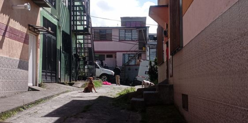 Sitio del crimen (fondo). Sitio del crimen (fondo).