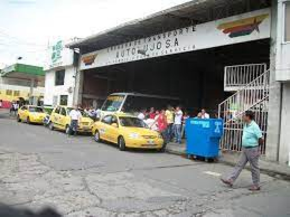 Bodas de oro Bodas de oro