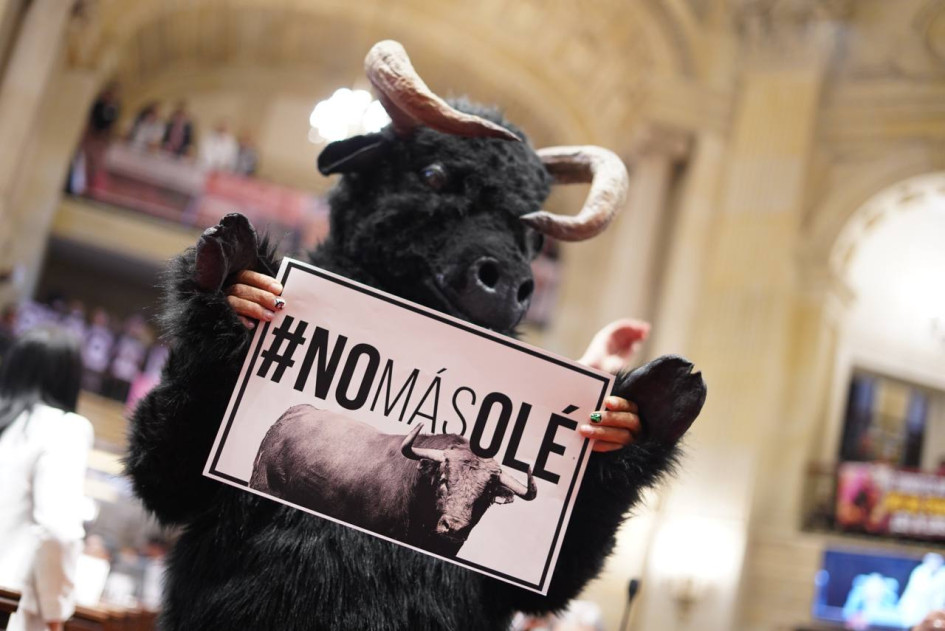 Archivan por quinta vez proyecto para prohibir las corridas de toros en Colombia Archivan por quinta vez proyecto para prohibir las corridas de toros en Colombia
