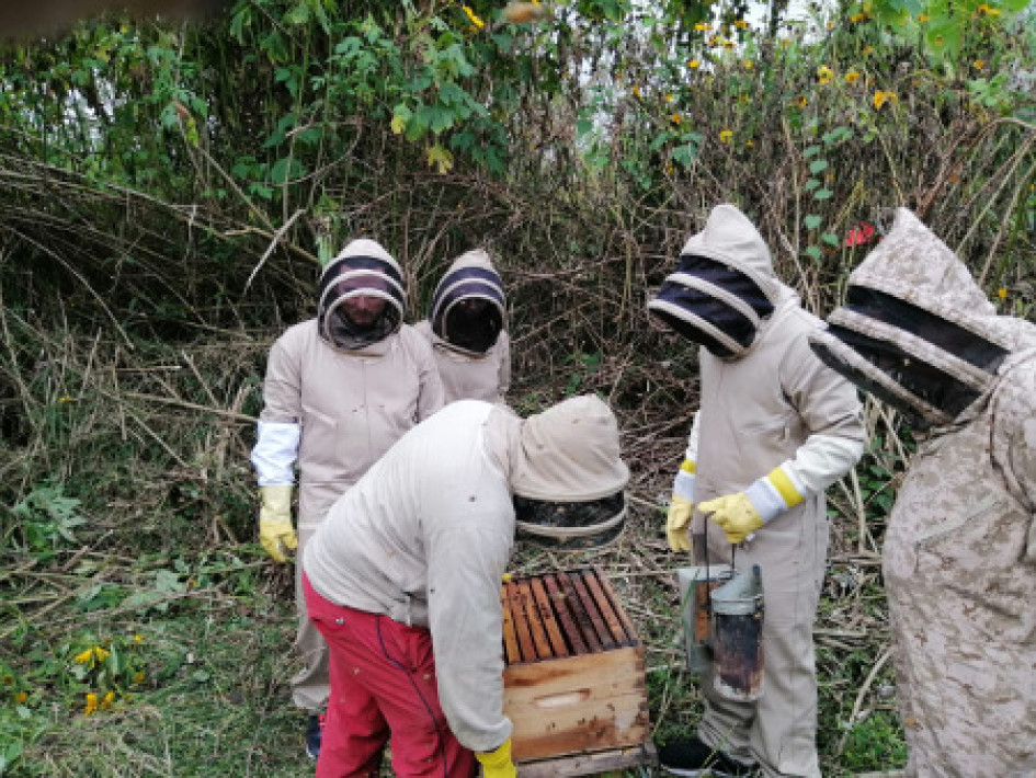 Miel de Abejas Miel de Abejas