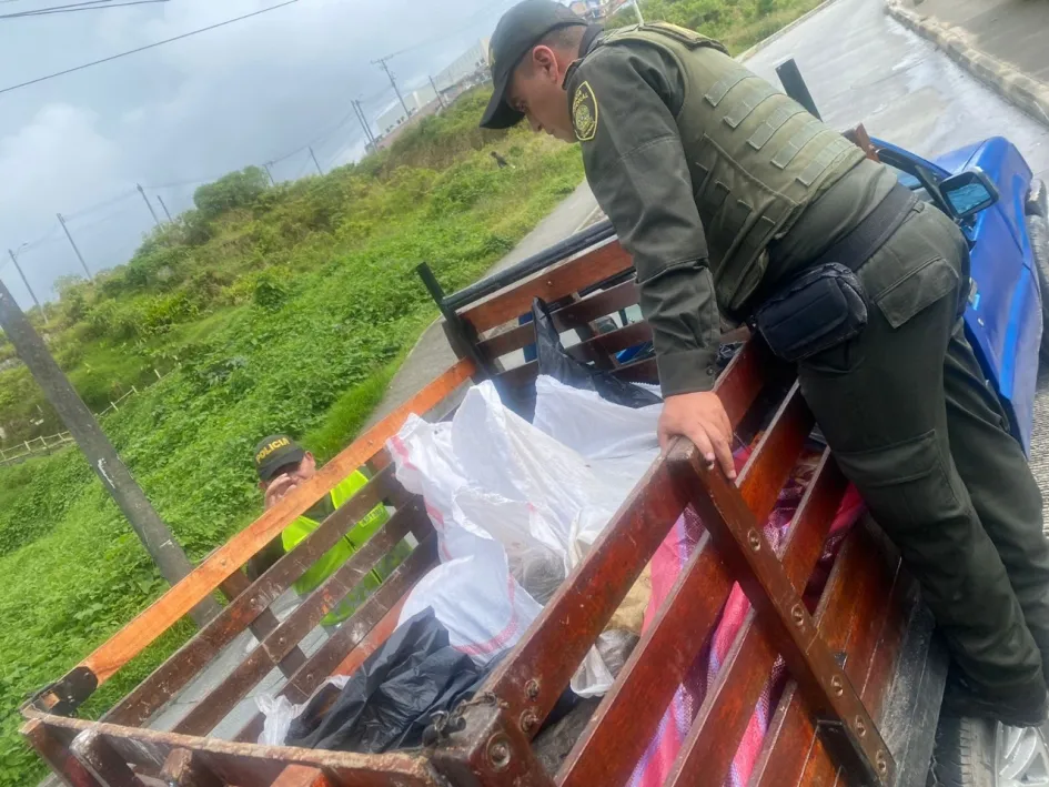Incautan 220 kilos de carne que eran transportados sin permiso sanitario Incautan 220 kilos de carne que eran transportados sin permiso sanitario