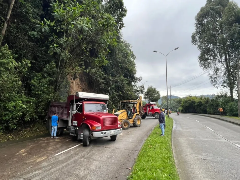 Retiran material vegetal que cayó sobre la avenida Alberto Mendoza (Manizales) Retiran material vegetal que cayó sobre la avenida Alberto Mendoza (Manizales)