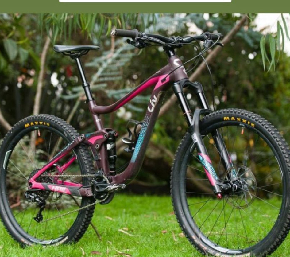 La bici robada. La bici robada.