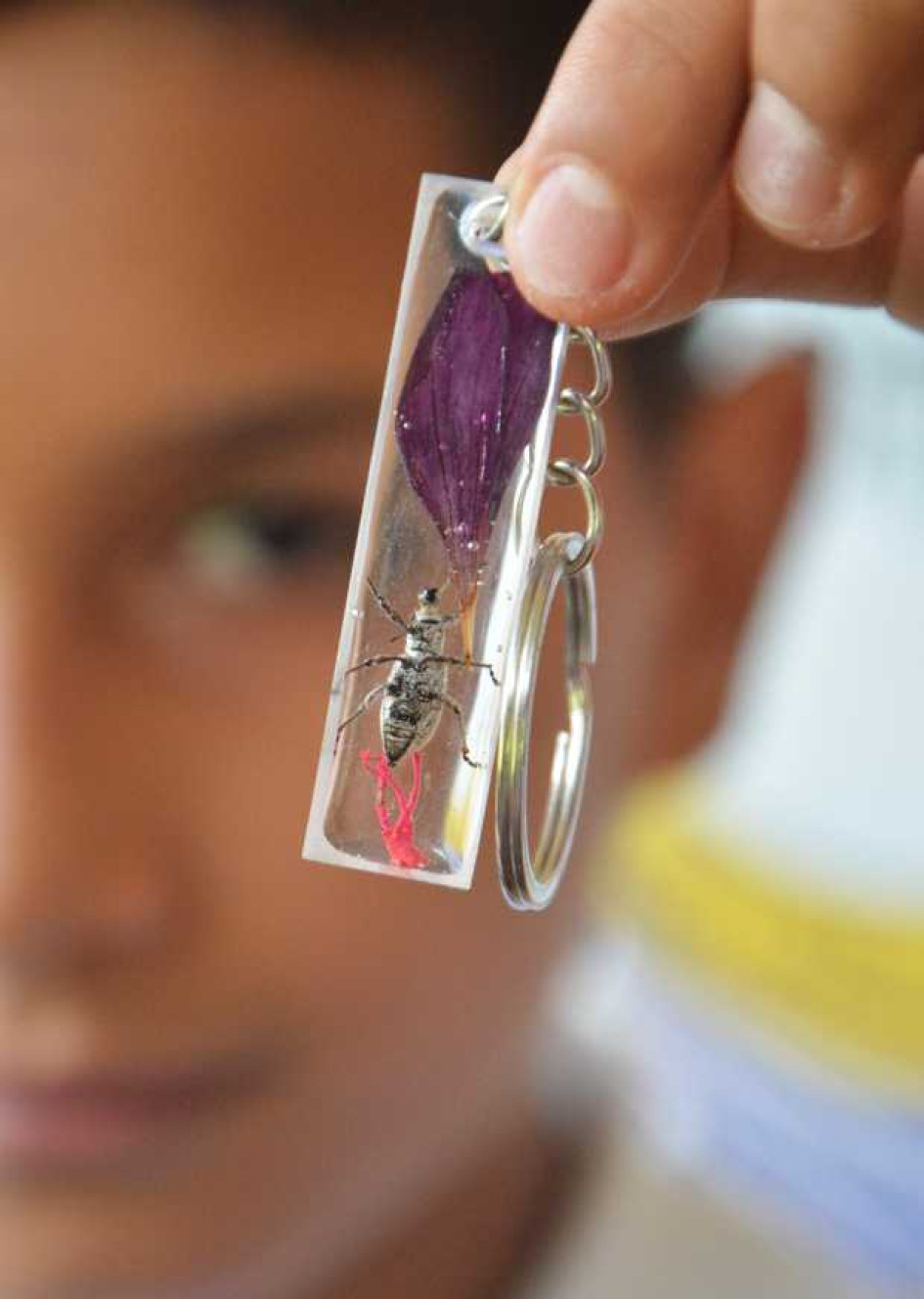 Picudos y hormigas pasan de azotar los cultivos a ser ofrecidos en stand de artesanías. Picudos y hormigas pasan de azotar los cultivos a ser ofrecidos en stand de artesanías. La comunidad de la escuela, adscrita a la Institución Educativa La Libertad, adelanta el emprendimient ocon apoyo de la Rectoría.