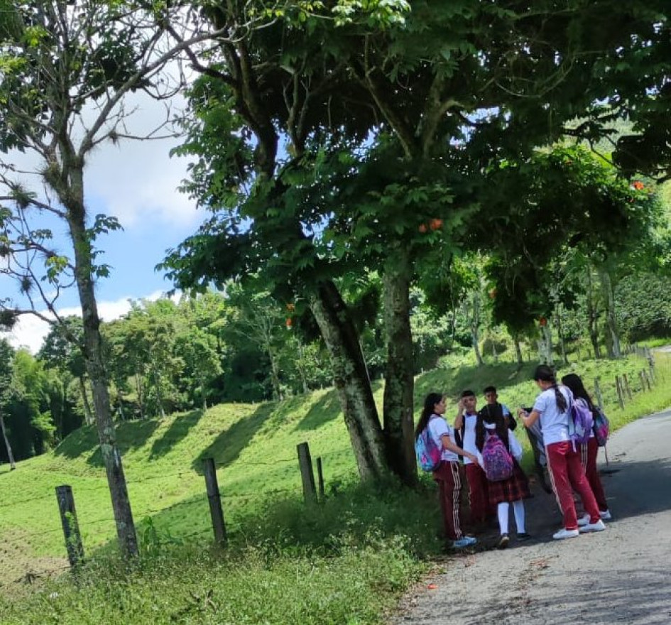 Se quedaron sin transporte escolar en Palestina, los recursos no alcanzaron para cubrir el servicio hasta el último día escolar. Los alumnos deben caminar hasta los colegios. Se quedaron sin transporte escolar en Palestina, los recursos no alcanzaron para cubrir el servicio hasta el último día escolar. Los alumnos deben caminar hasta los colegios.