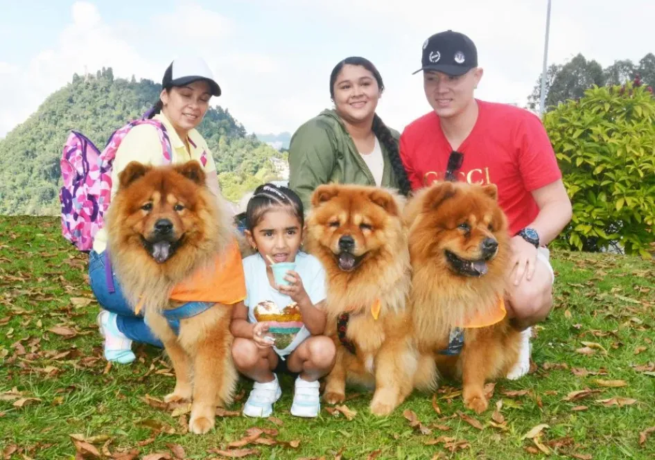 La familia Moreno sacó a sus tres perritos: Dasky (la mamá), Hachi (el papá), Max (el hijo). Los tres son de raza chow chow. La familia Moreno sacó a sus tres perritos: Dasky (la mamá), Hachi (el papá), Max (el hijo). Los tres son de raza chow chow.