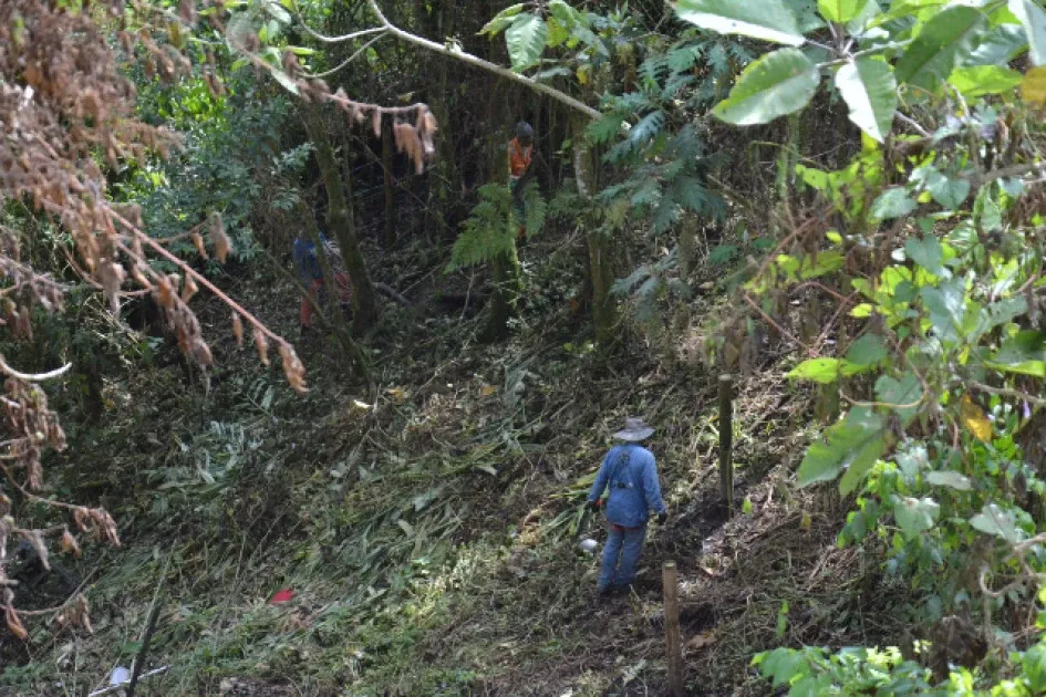 En noviembre se hizo intervención en el bosque Camino de la Palma Real, lo que llevó a protestas. bosque Camino de la Palma Real