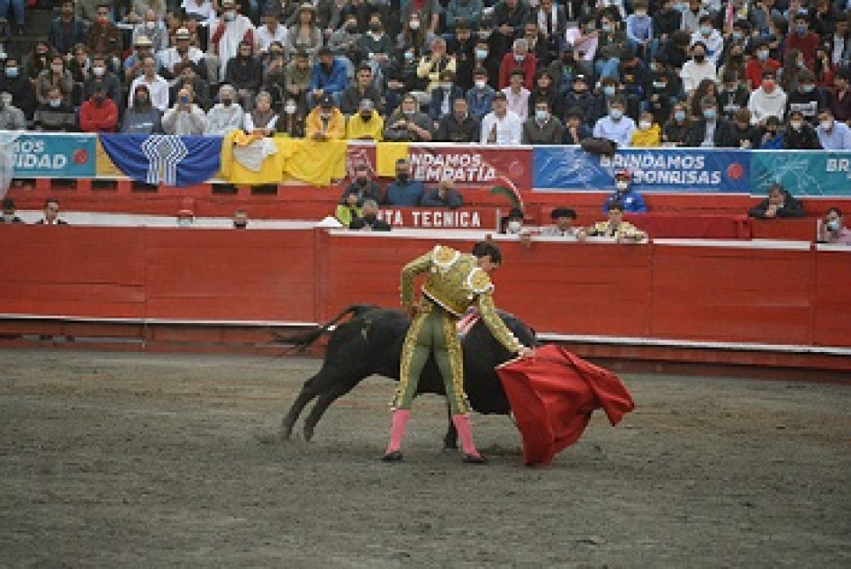 Las plazas de Cali y Manizales, firmes en la temporada taurina