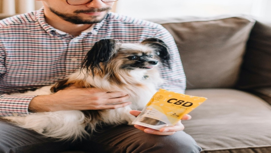 CBD para perros: qué es y cómo funciona Hombre carga a un perro en sus piernas mientras sostiene una bolsa de productos de CBD.