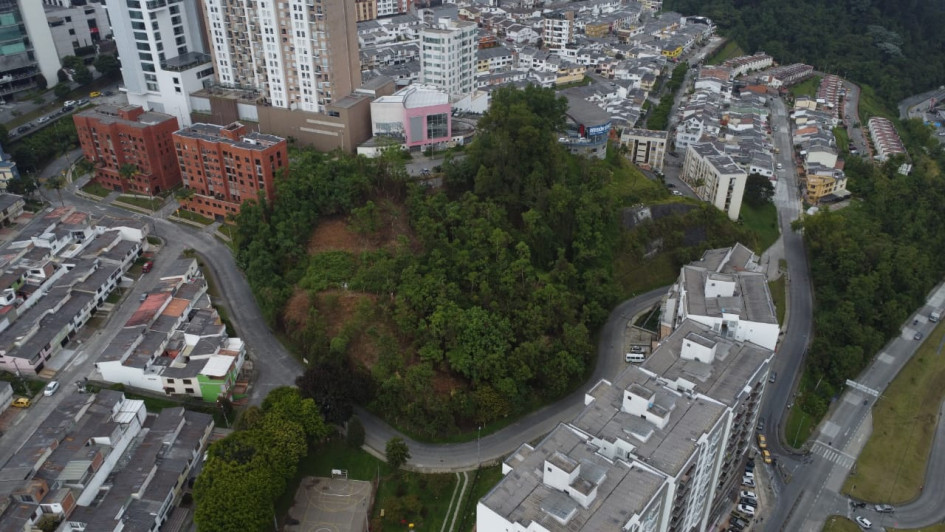 Bosque de Camino de la Palma Real, ubicado en el barrio Laureles de Manizales. Bosque de Camino de la Palma Real, ubicado en el barrio Laureles de Manizales.