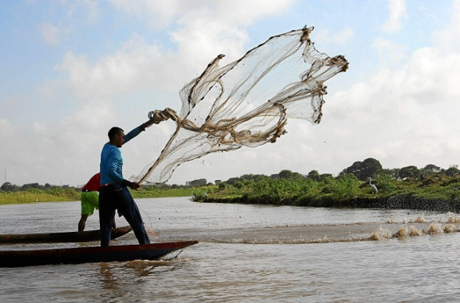 Foto | EFE | LA PATRIA Pescadores en la ciénaga de San Marcos en Sucre, de las zonas donde hay sobrepesca. Foto | EFE | LA PATRIA Pescadores en la ciénaga de San Marcos en Sucre, de las zonas donde hay sobrepesca.