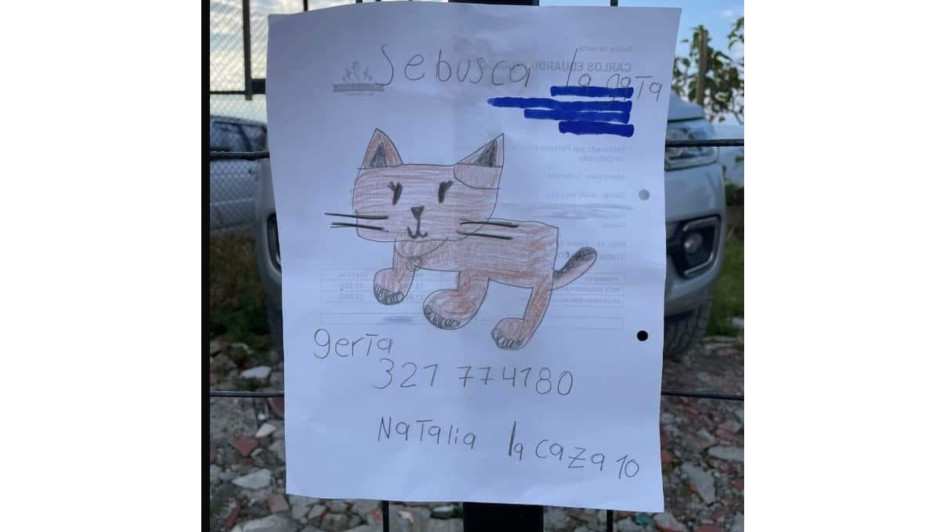 Una menor de edad, vecina de Cerro de Oro en Manizales, dibujó a su gata perdida en carteles que compartió en la calle. La pudo hallar.