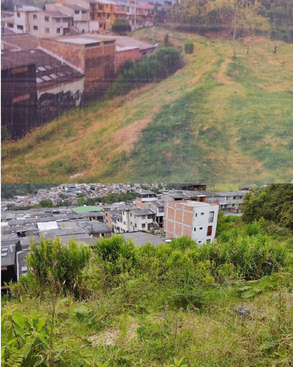 Foto | Cortesía | LA PATRIA Comparativo del antes y el después de la ladera aledaña a las casas de La Sultana, que evidencia la falta de mantenimiento. Foto | Cortesía | LA PATRIA Comparativo del antes y el después de la ladera aledaña a las casas de La Sultana, que evidencia la falta de mantenimiento.
