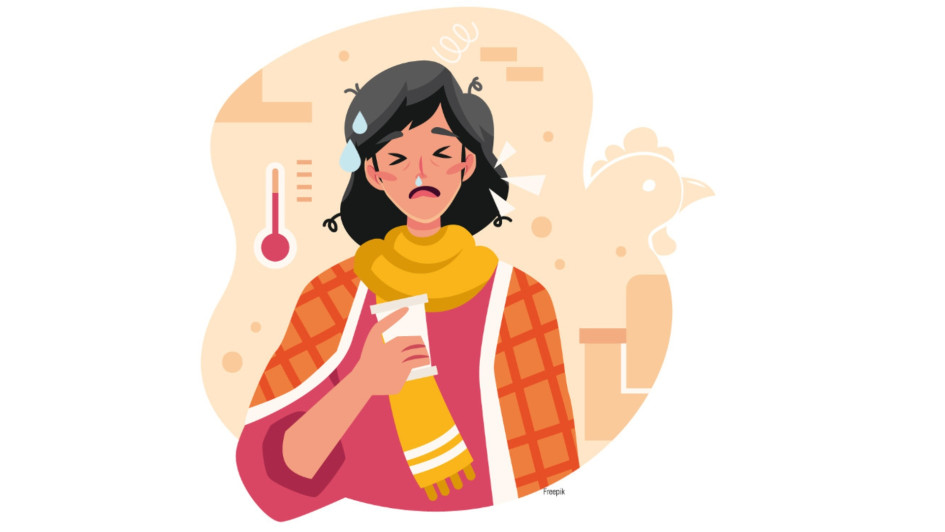 Ilustración de la gripe aviar. Ilustración de la gripe aviar.