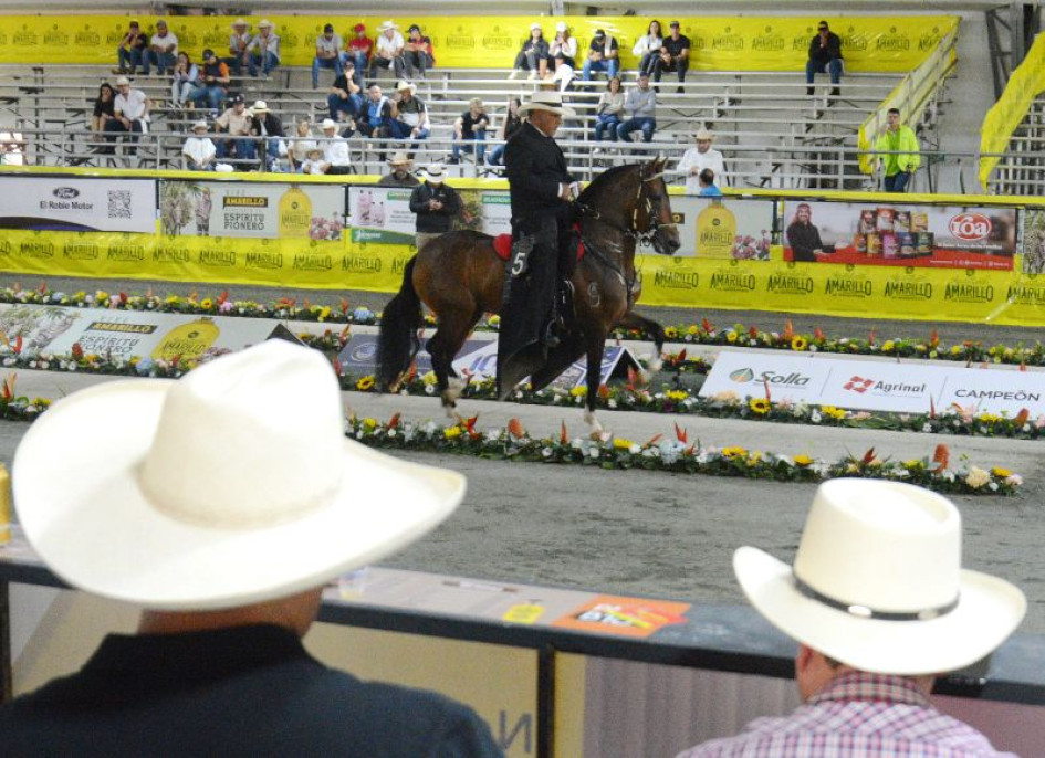 Prometido de la Ceiba fue el ganador de la categoría de Caballos de 48 a 60 meses. Prometido de la Ceiba fue el ganador de la categoría de Caballos de 48 a 60 meses.