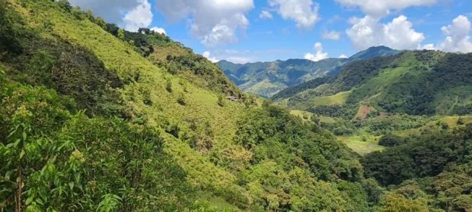En Caldas hay dos megapredios, de acuerdo con la ANT. Imagen de referencia. En Caldas hay dos megapredios, de acuerdo con la ANT. Imagen de referencia.