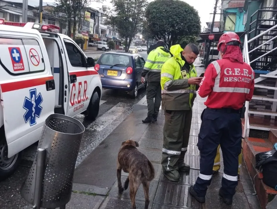 Sitio del accidente de tránsito en el barrio La Enea. Sitio del accidente de tránsito en el barrio La Enea.