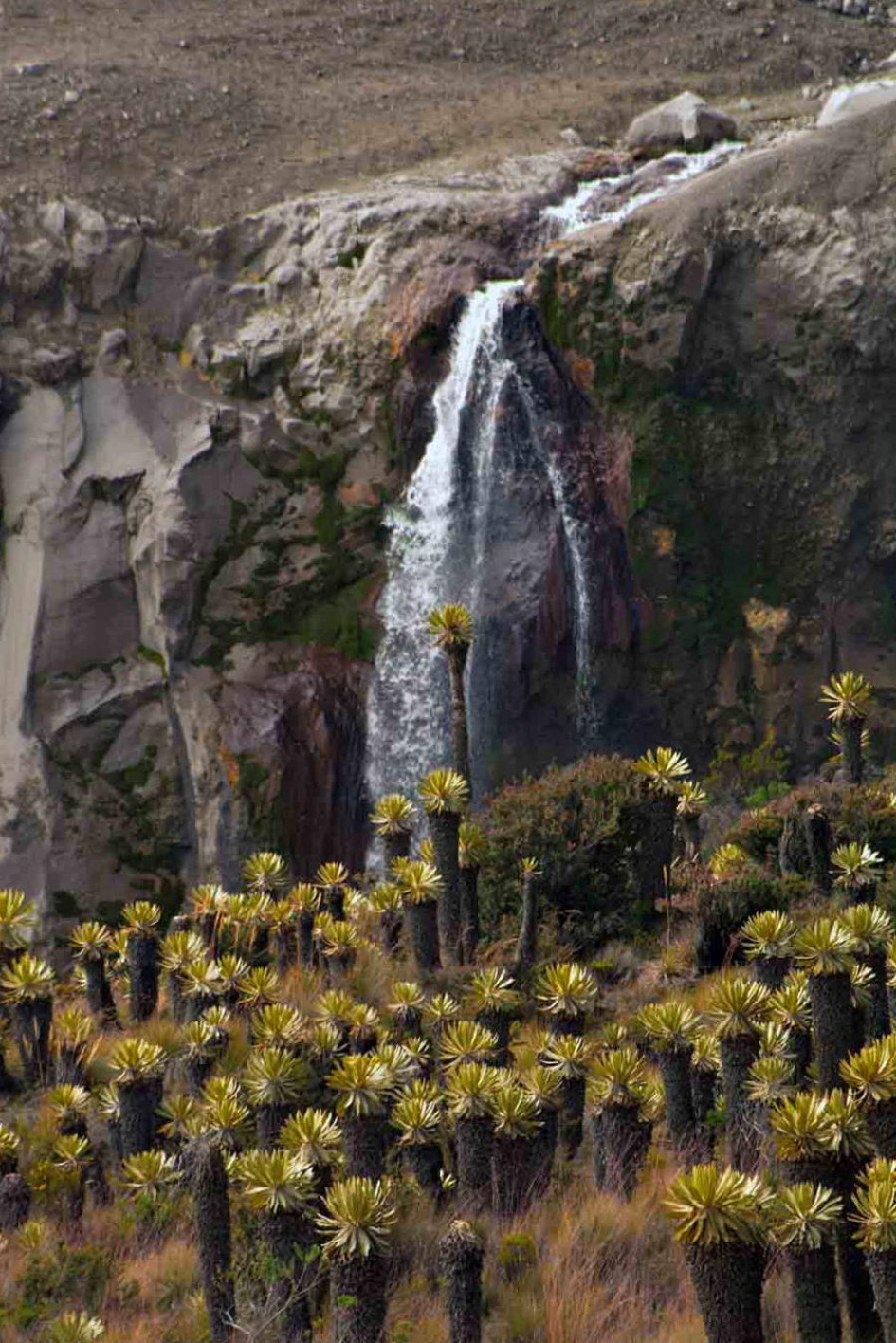 río Azufrado río Azufrado