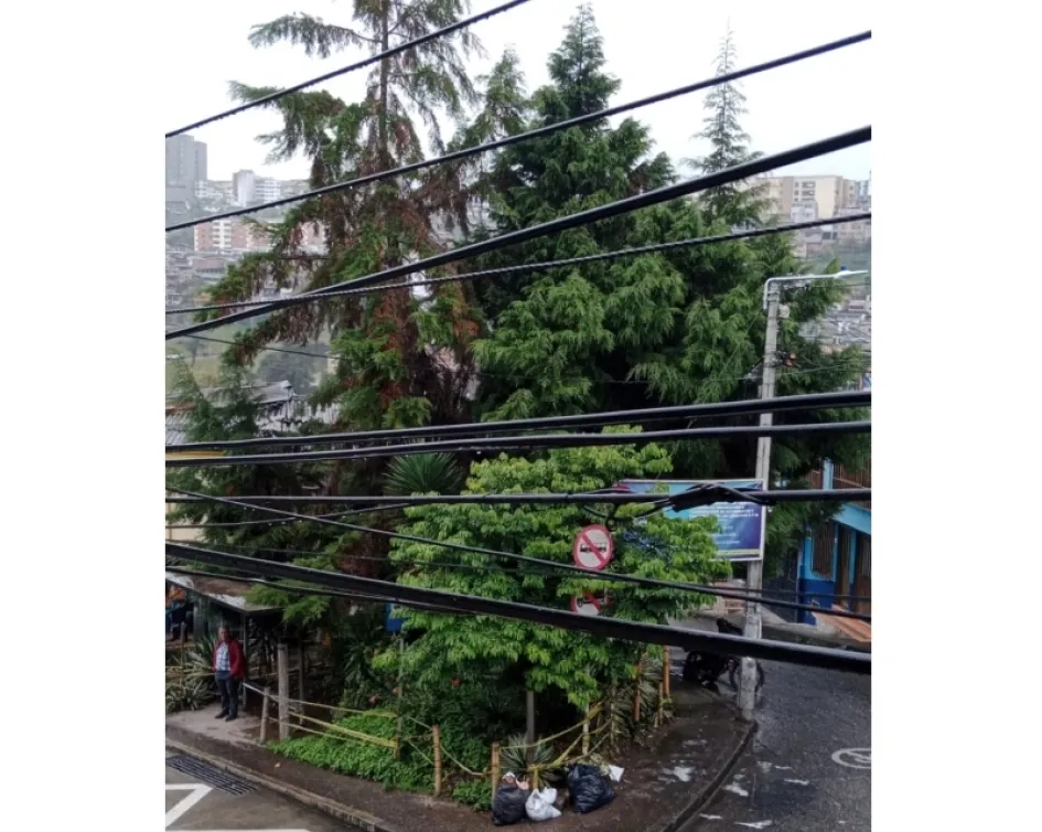 En Villa Hermosa los vecinos denunciaron hace un año el crecimiento del árbol y el riesgo que implica. Según la Secretaría de Medio Ambiente de Manizales ya visitaron el lugar y están pendientes de la intervención de Emas. Foto | Cortesía | Q’HUBO En Villa Hermosa los vecinos denunciaron hace un año el crecimiento del árbol y el riesgo que implica. Según la Secretaría de Medio Ambiente de Manizales ya visitaron el lugar y están pendientes de la intervención de Emas. Foto | Cortesía | Q’HUBO