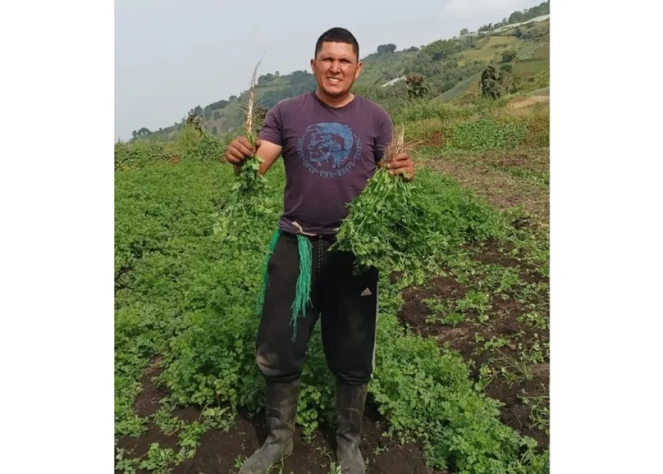 Iván Freddy Cipagauta Quintero