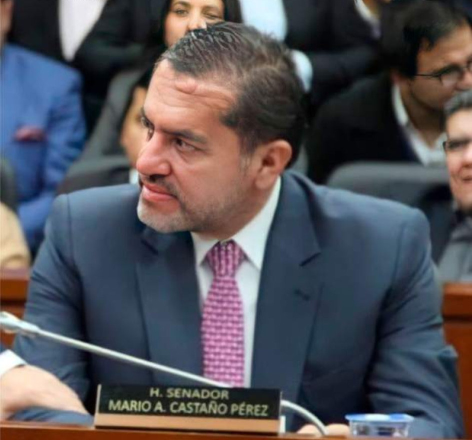 Mario Castaño. Mario Castaño.