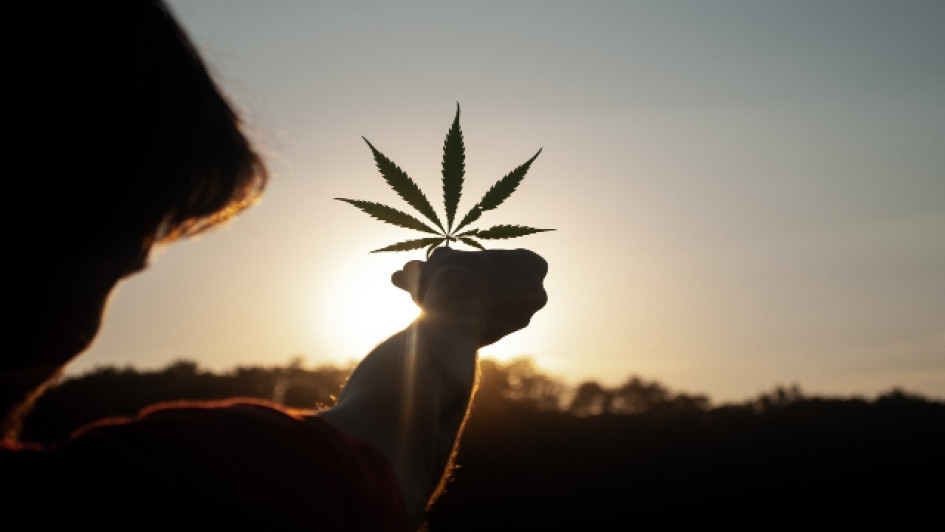 Qué-es-delta-8-para-que-sirve-el-delta-8-THC-principal Persona sostiene una hoja de cannabis con el atardecer en el fondo.