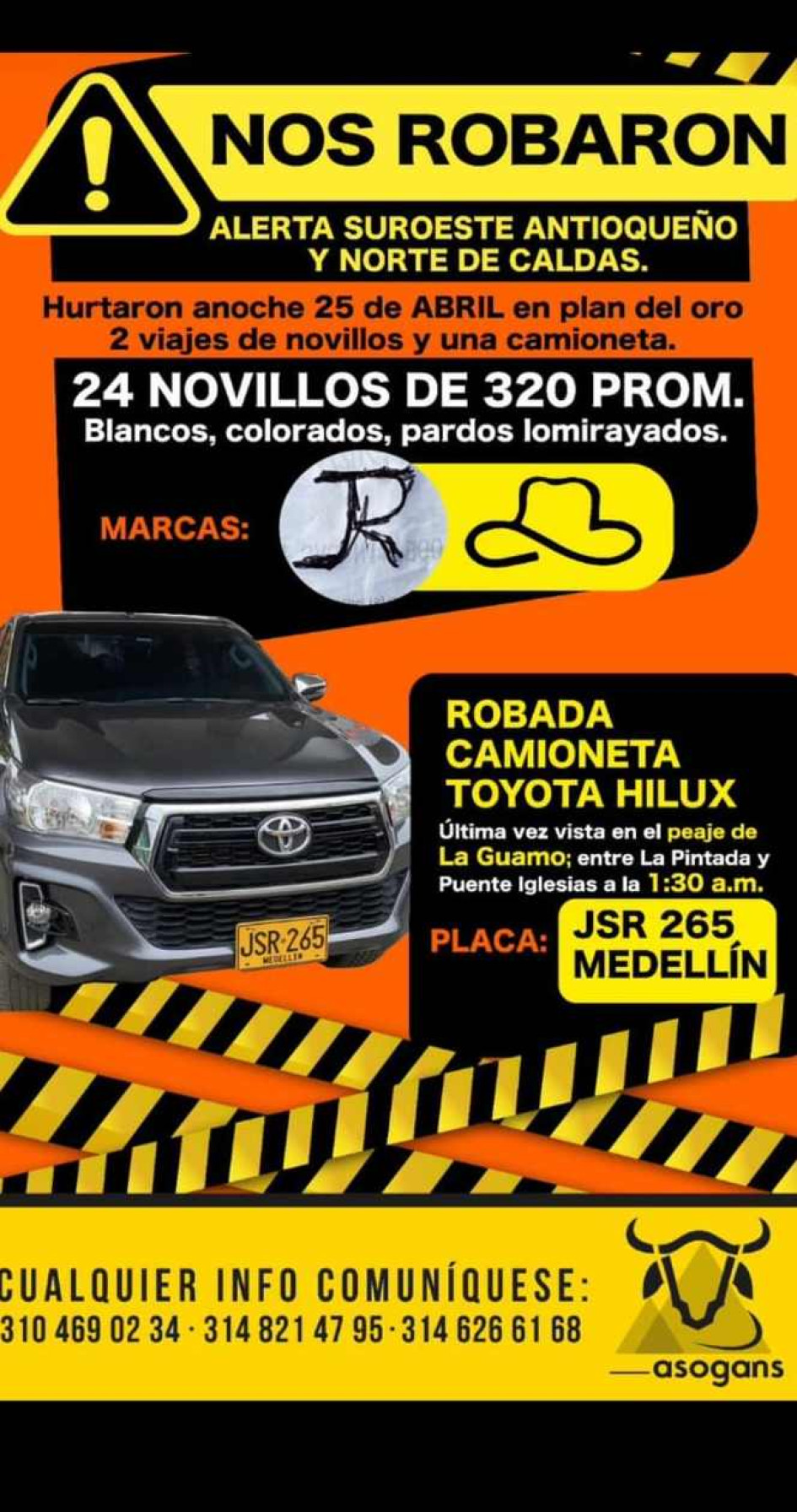 Reporte. Reporte.